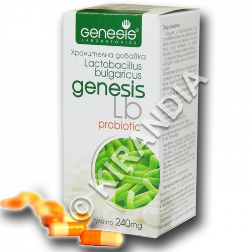 Probiotic Lactobacillus Bulgaricus Complex Probiotic Lactobacillus Bulgaricus Complex