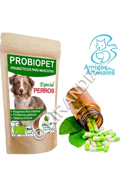 Imaginación fuerte horizonte Probiopet Perros (probióticos para mascotas) - KIRANDIA - La tienda del  kombucha
