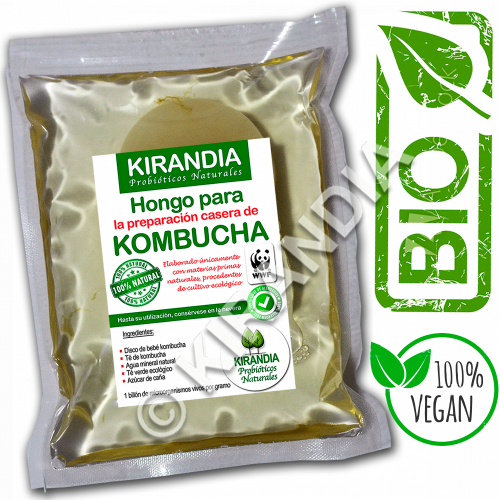 Bebé Kombucha (Lote Básico) - Supreme 5L