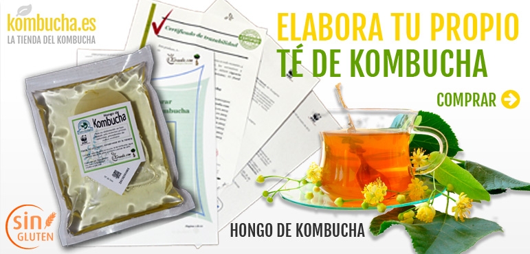 Elabora tu propio té de kombucha. Hongo de Kombucha.
