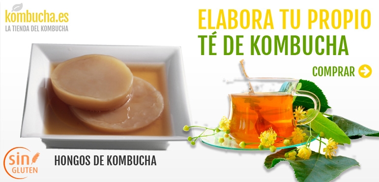 Elabora tu propio té de kombucha. Hongo de Kombucha.