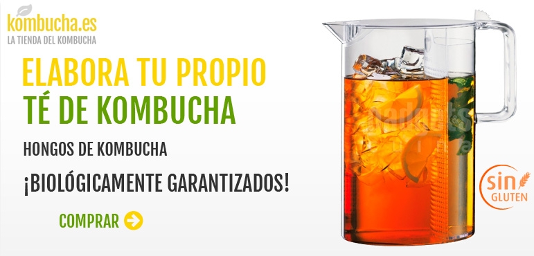 Elabora tu propio té de kombucha. Hongo de Kombucha.